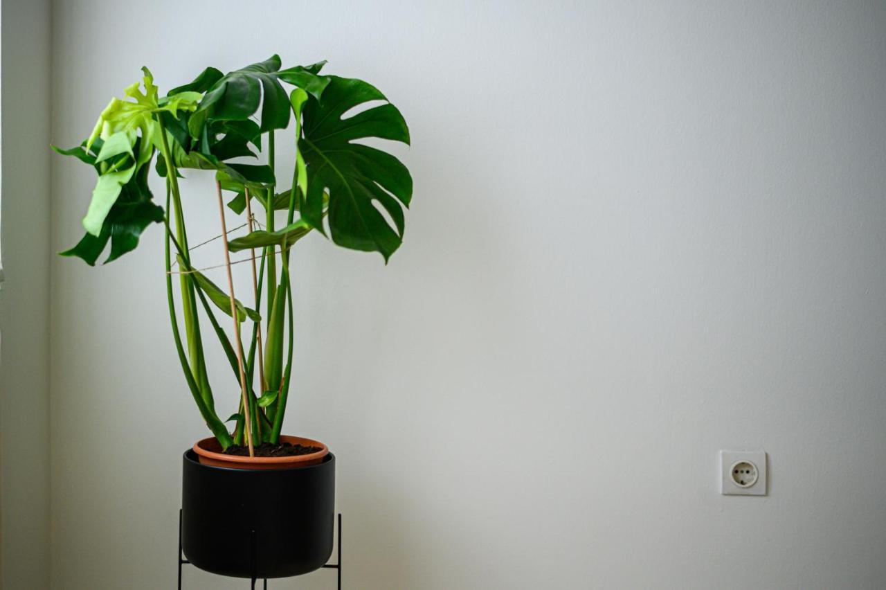 Oliva Apartment Kalamata Zewnętrze zdjęcie